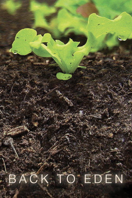 Movie poster for Back To Eden (2011)