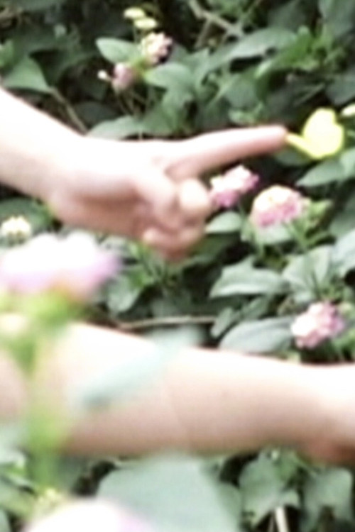 Movie poster for motion (2010)