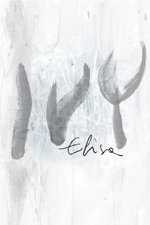 Movie poster for Elisa - Ivy (2010)