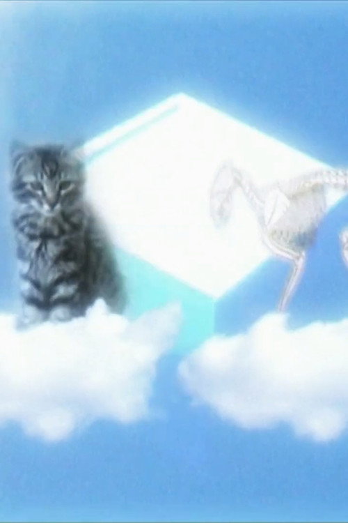 Movie poster for Le Chat De Shrodinger (2006)