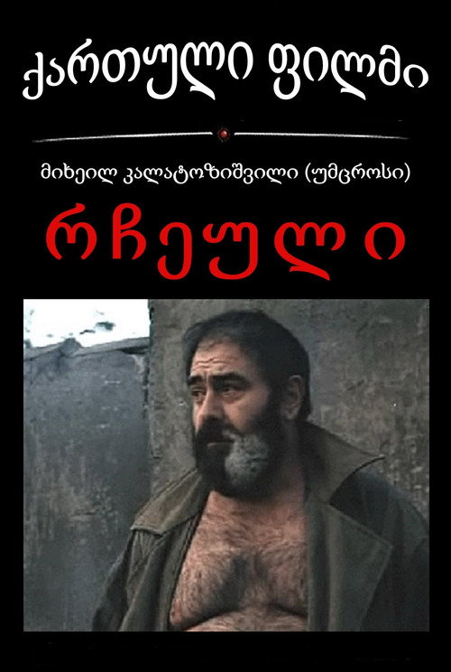 Movie poster for The Beloved (1991)