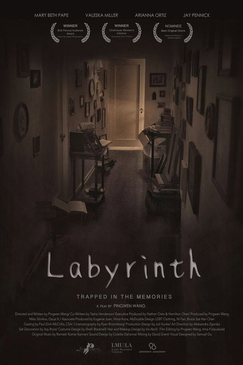 Movie poster for Labyrinth (2016)