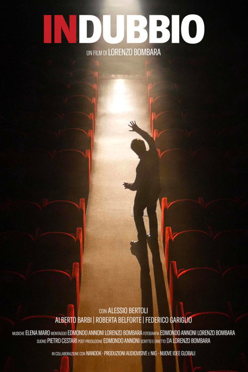 Movie poster for In dubbio