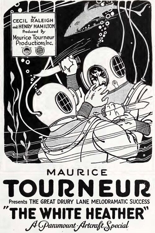 Movie poster for The White Heather (1919)