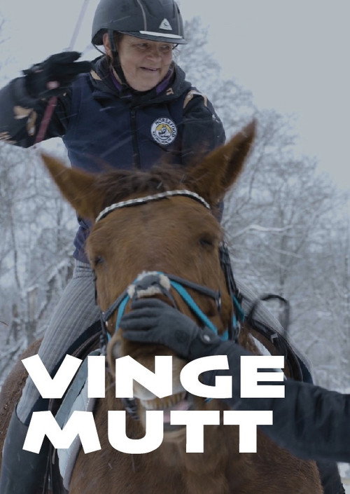 Movie poster for Badass Merike (2024)