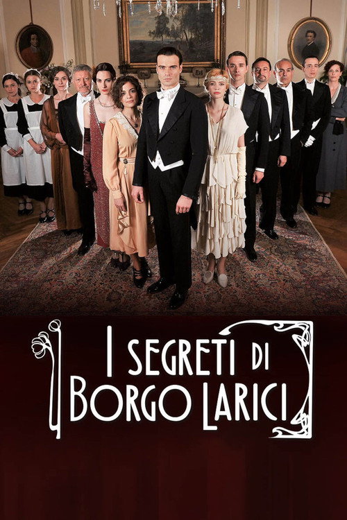 Series poster for I Segreti Di Borgo Larici (2014)