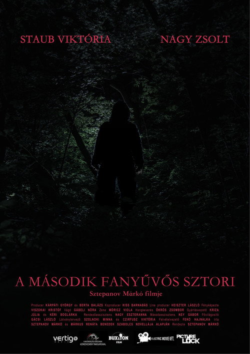 Movie poster for Sasquatch Story No.2