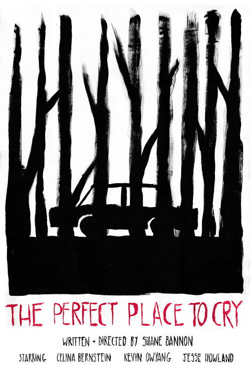 Movie poster for The Perfect Place to Cry (2023)