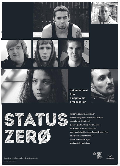 Movie poster for Status Zero (2016)