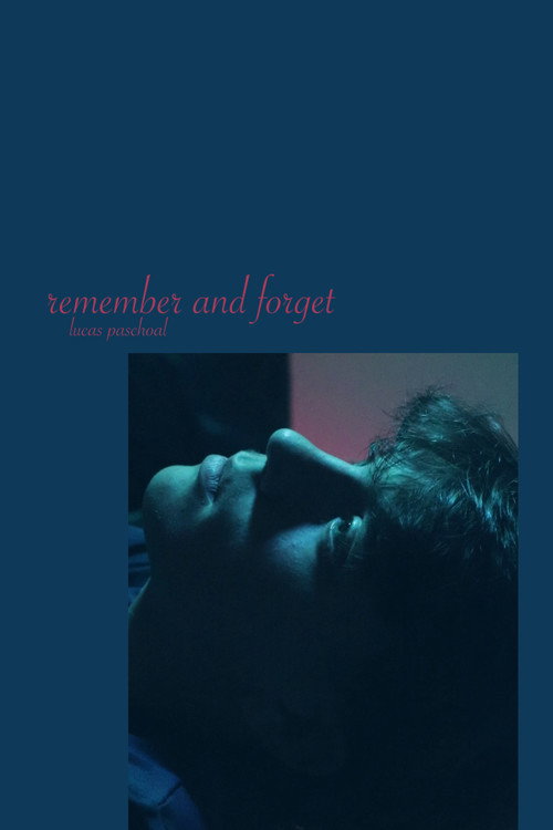 Movie poster for remember and forget (2024)