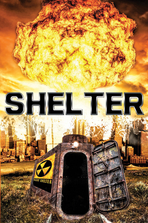 Movie poster for Shelter (2008)