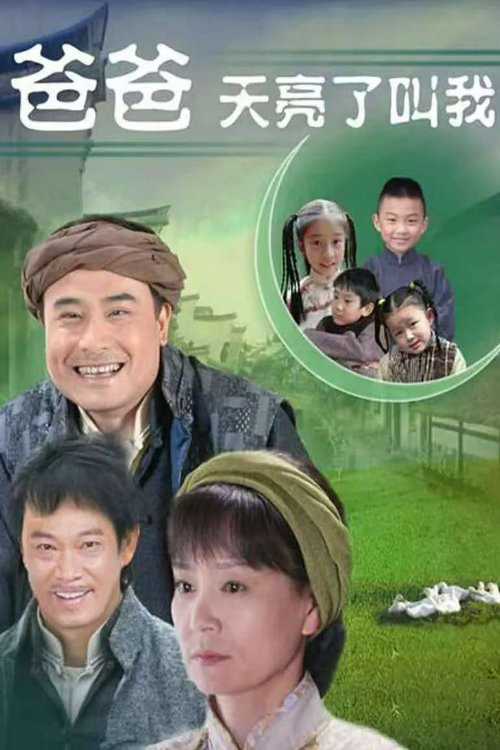 爸爸天亮叫我 poster