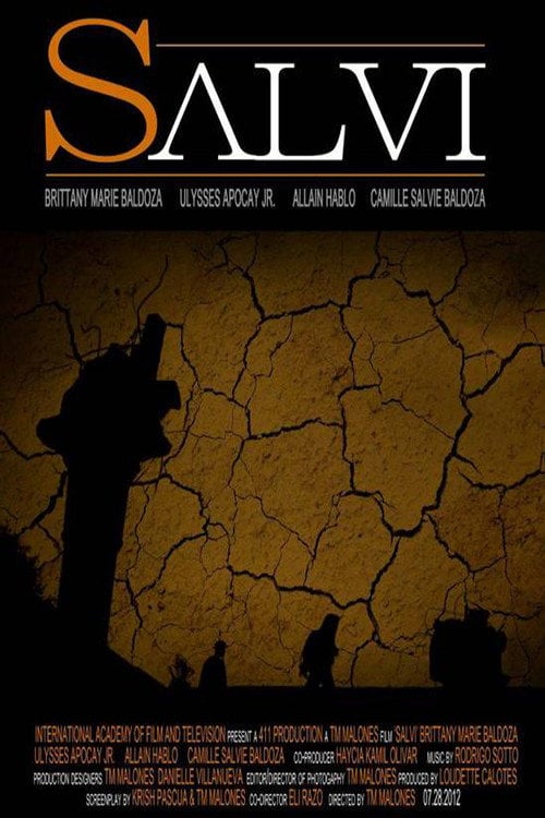 Movie poster for Salvi (2012)
