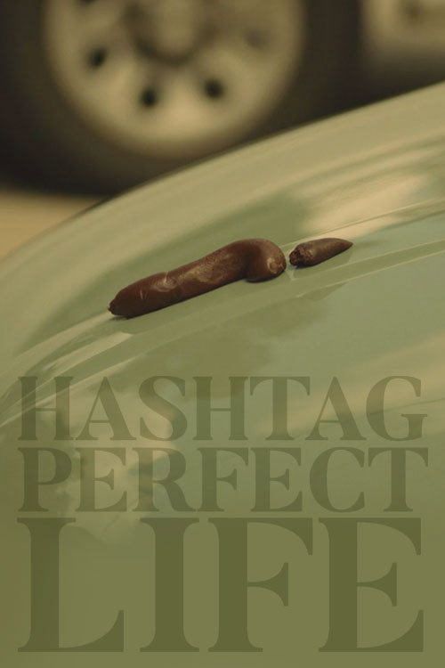 Movie poster for Hashtag Perfect Life (2018)