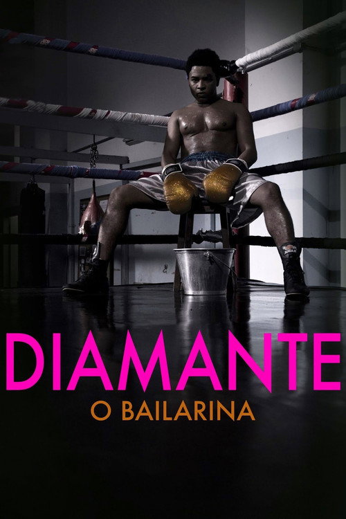 Movie poster for The Ballerina (2016)