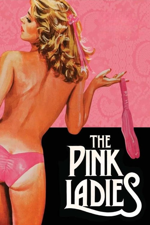 Movie poster for The Pink Ladies (1979)
