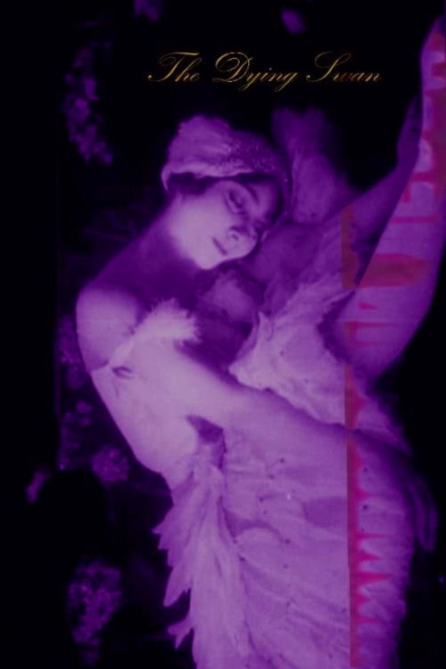 Movie poster for The Dying Swan (1917)