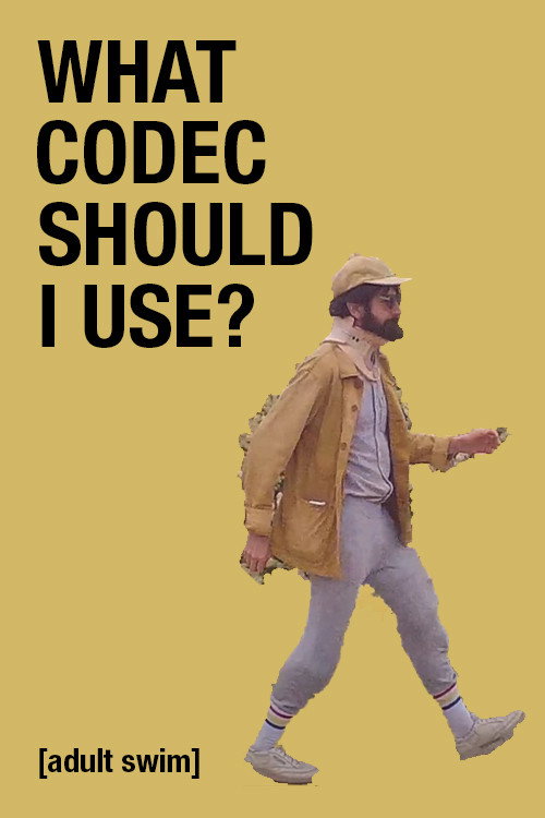 Movie poster for What Codec Should I Use? (2020)