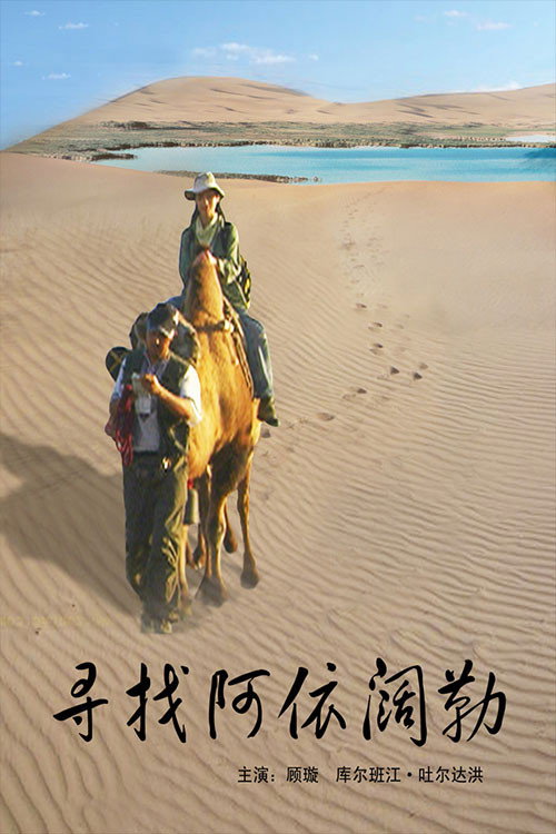 Movie poster for 寻找阿依阔勒 (2009)