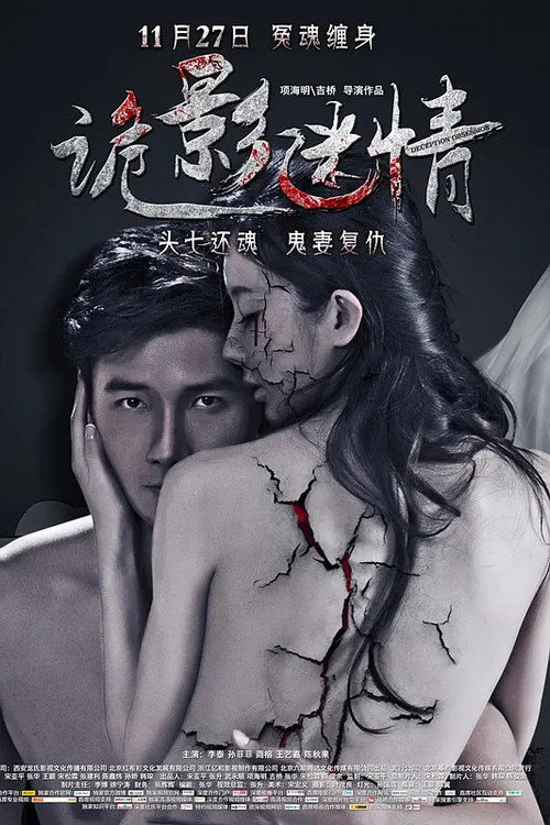 Movie poster for 诡影迷情 (2015)