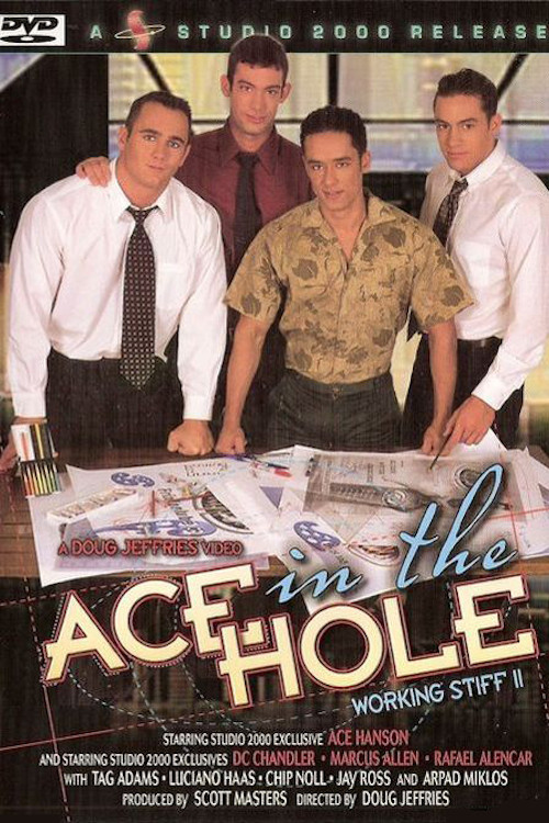 Movie poster for Ace in the Hole: Working Stiff 2 (2004)
