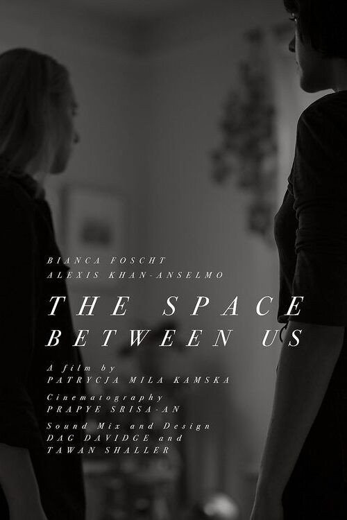 Movie poster for The Space Between Us (2022)