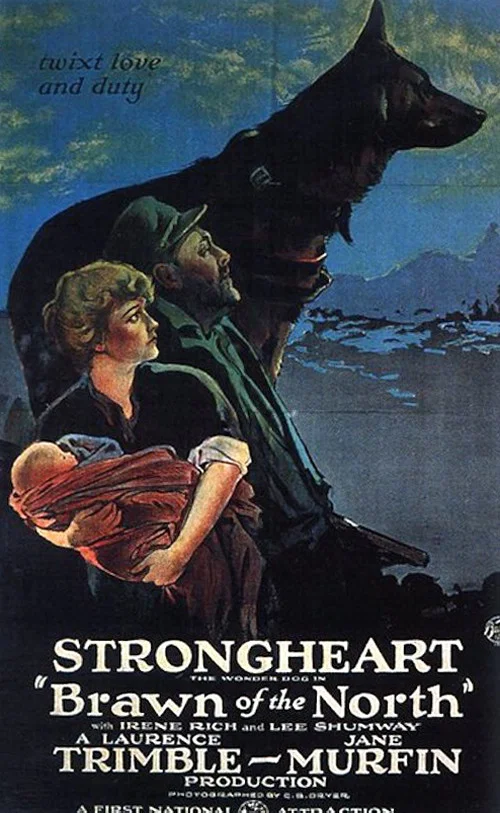 Movie poster for Brawn of the North (1922)