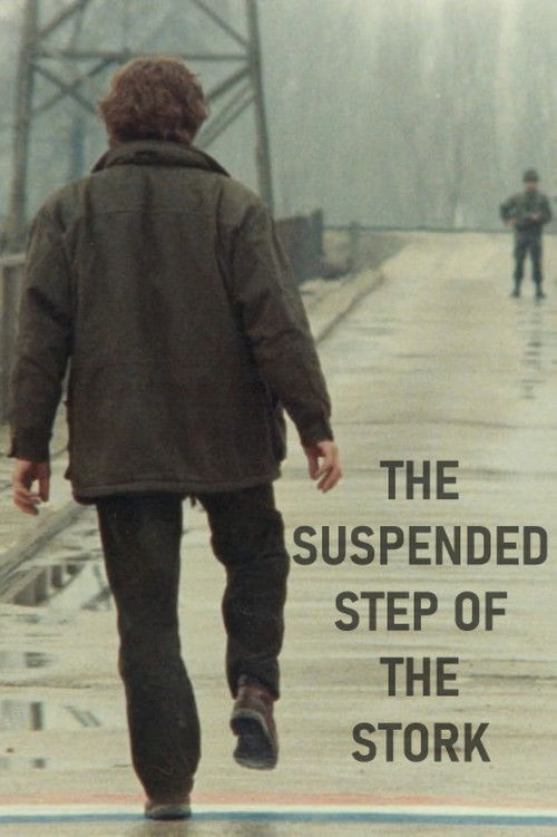 Movie poster for The Suspended Step of the Stork (1991)