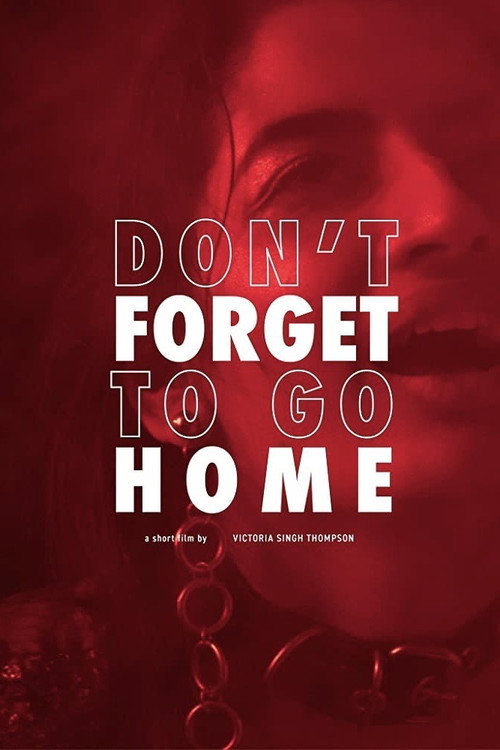 Movie poster for Don't Forget to Go Home (2020)