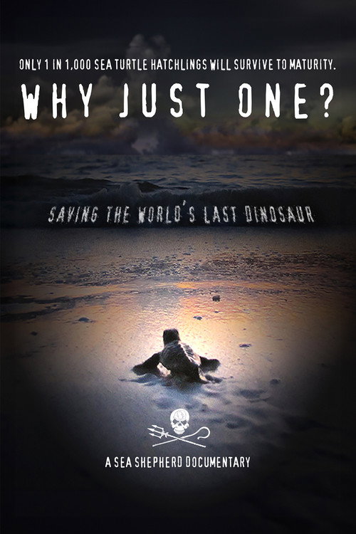 Movie poster for Why Just One? (2016)