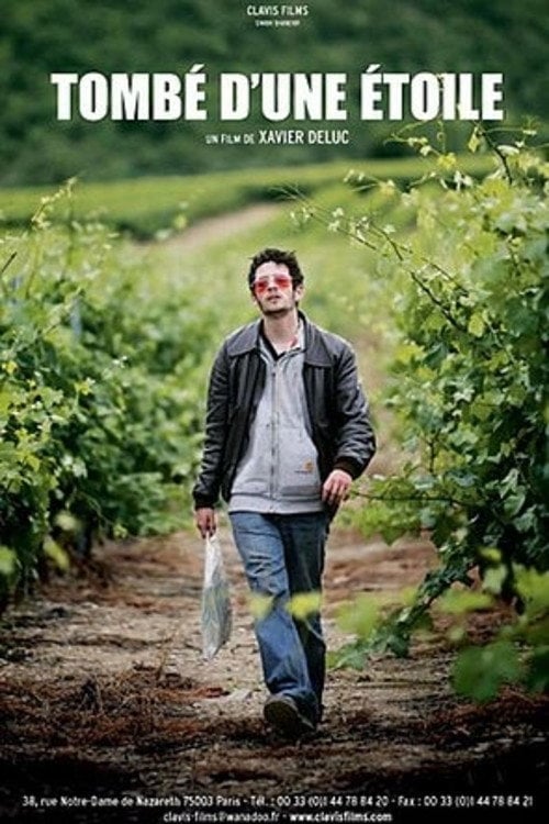 Movie poster for Tombé d'une étoile (2007)