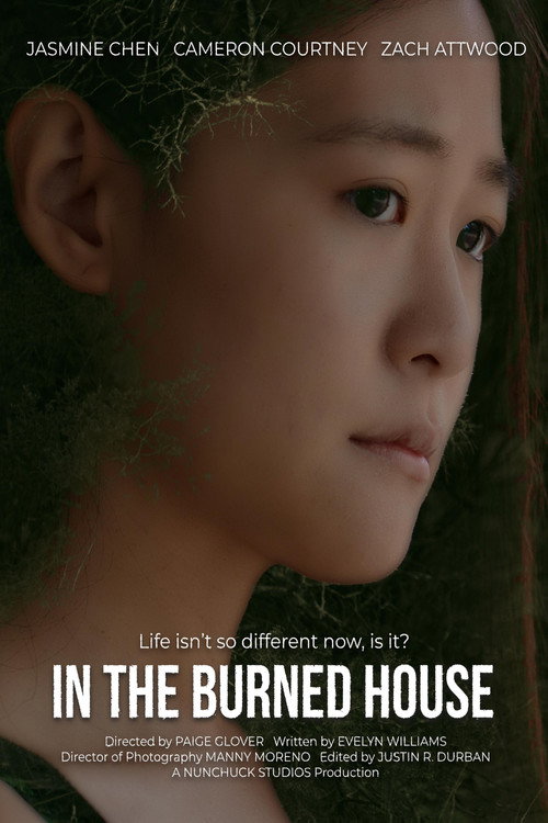 Movie poster for In the Burned House