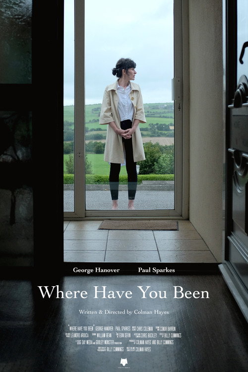 Movie poster for Where Have You Been (2021)