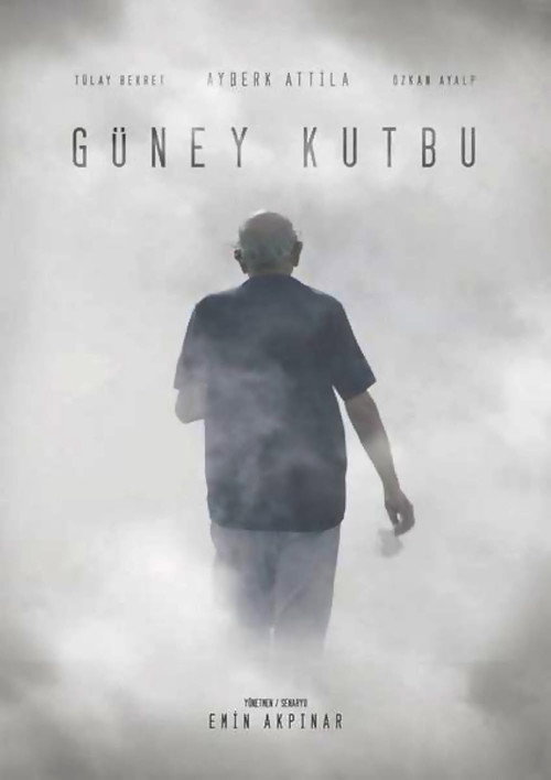 Movie poster for Güney Kutbu (2016)