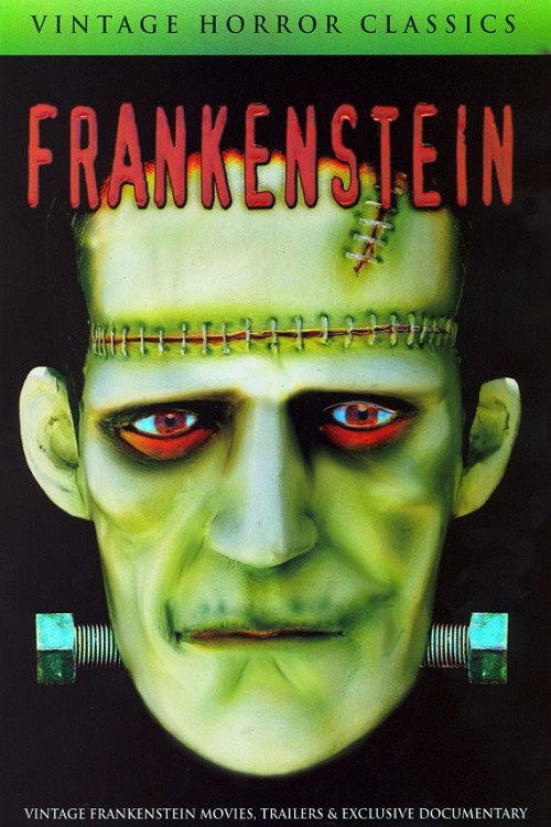 Movie poster for Mary Shelley's Frankenstein - A Documentary (2007)