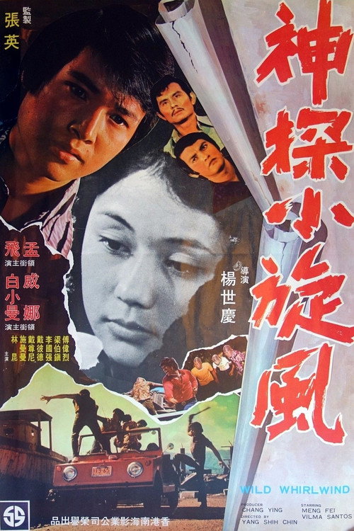 Movie poster for Wild Whirlwind (1974)