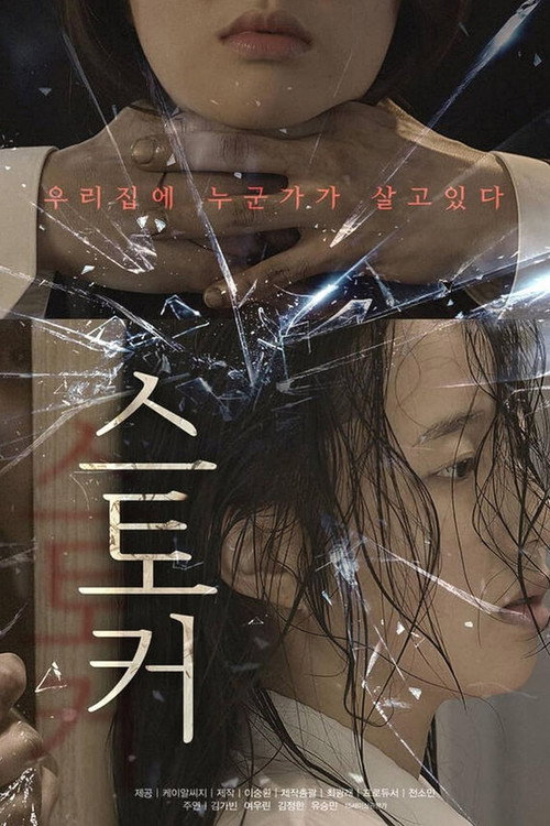Movie poster for Stalker (2021)