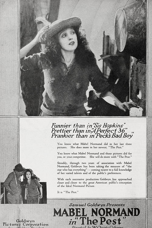 Movie poster for The Pest (1919)