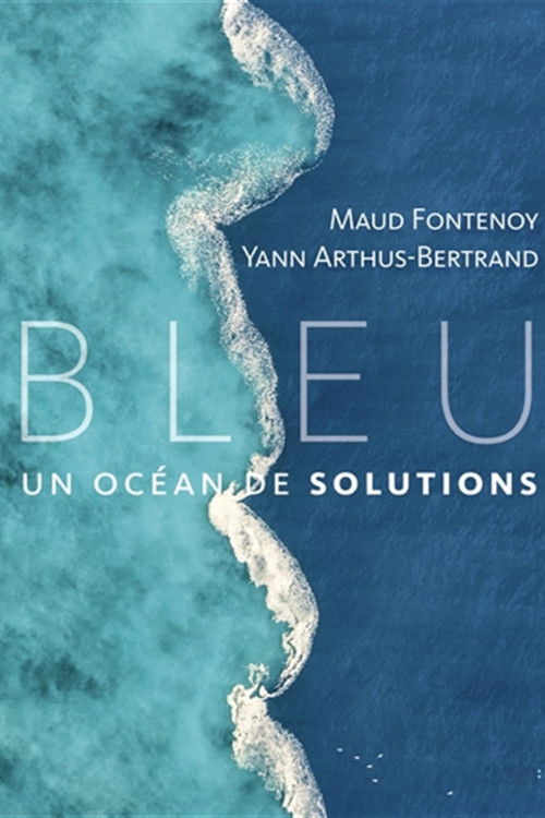 Bleu, un océan de solutions poster