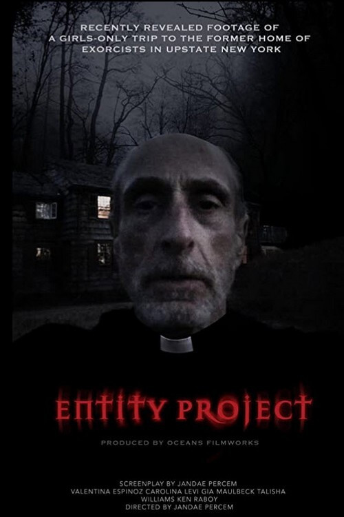 Movie poster for Entity Project (2019)