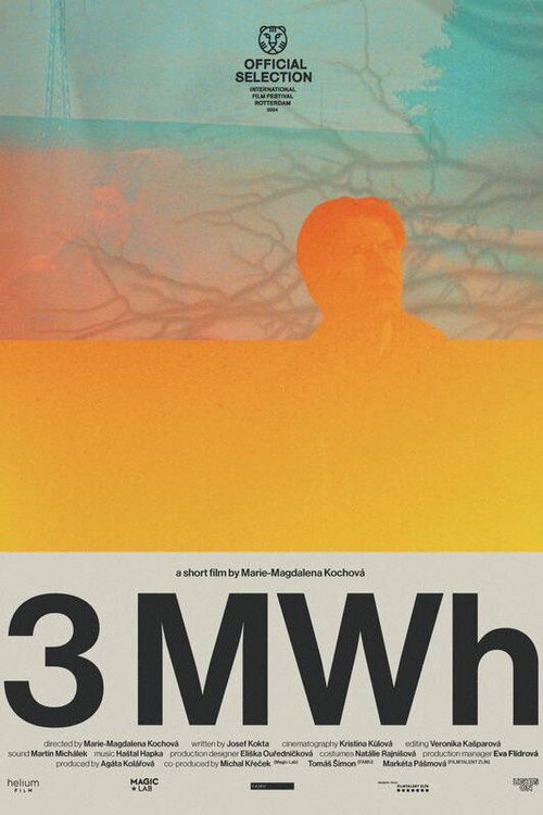 Movie poster for 3 MWh (2024)