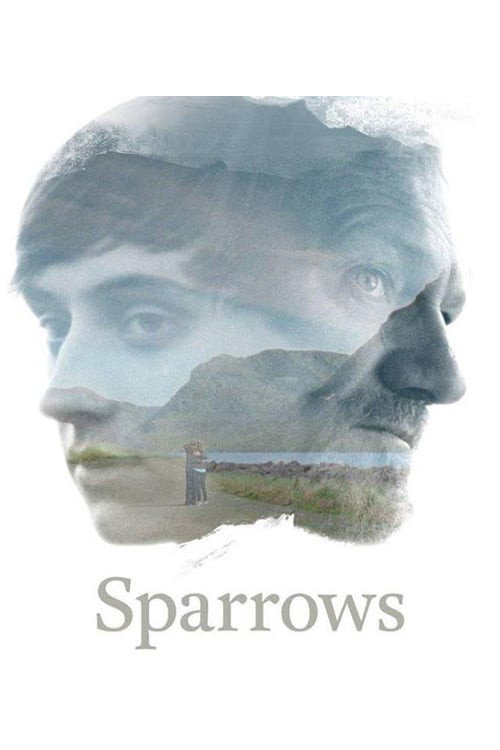 Movie poster for Sparrows (2015)