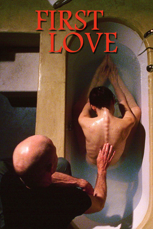 Movie poster for First Love (2004)