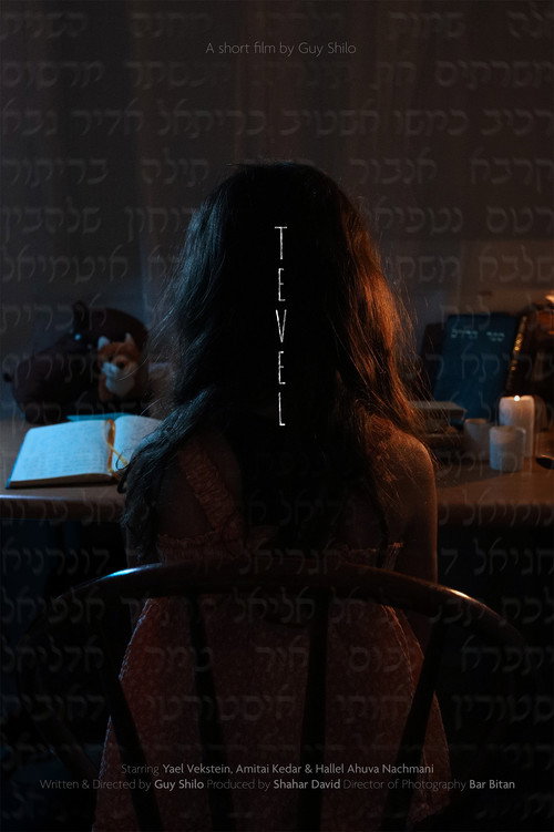 Movie poster for Tevel