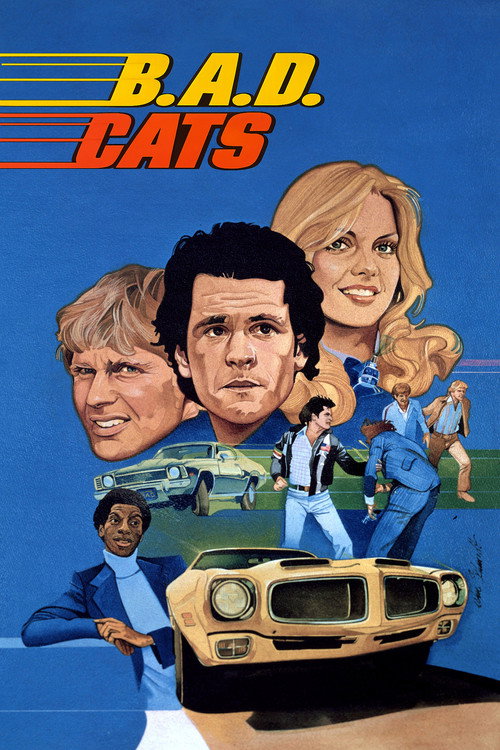 Series poster for B.A.D. Cats (1980)