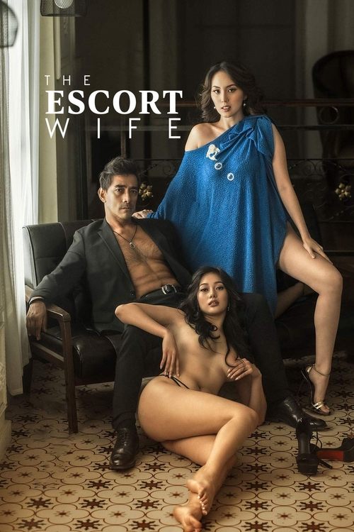 Movie poster for The Escort Wife (2022)