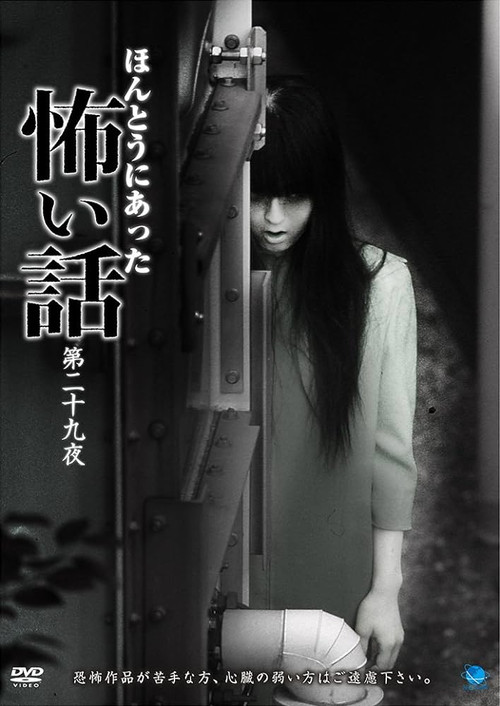 Movie poster for Scary True Stories: Night 29 (2014)