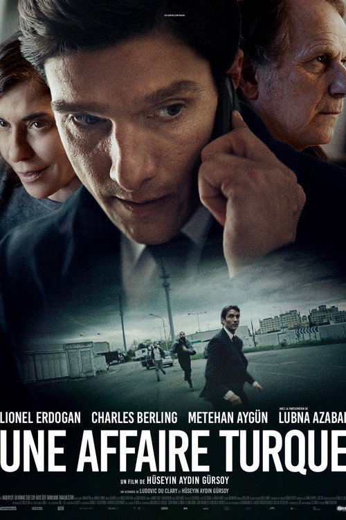 Movie poster for A Turkish case (2026)