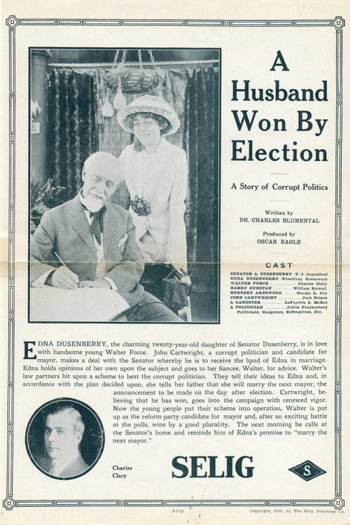 Movie poster for A Husband Won by Election (1913)