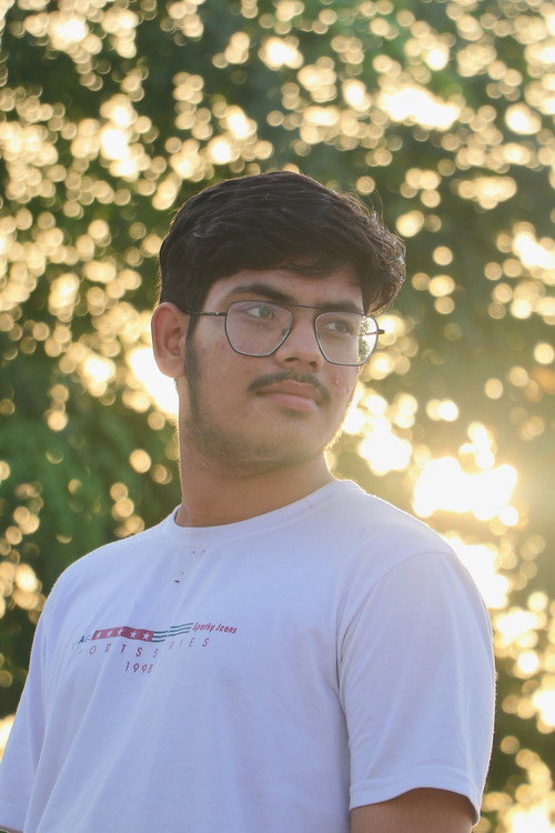 Photo of Paras Sachan, Directing